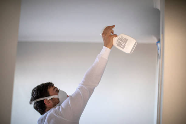 Best Mold Remediation for Specific Building Types in Arlington, VA