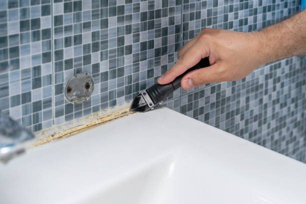 Best Basement Mold Remediation in Arlington, VA